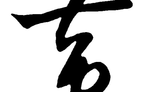 【云南虫草参功效和作用】云南虫草参怎么吃最有效 - 云南虫草参功效网