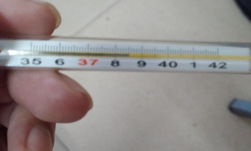 云南虫草参怎么吃最有效-【云南虫草参功效和作用】云南虫草参怎么吃最有效 - 云南虫草参功效网